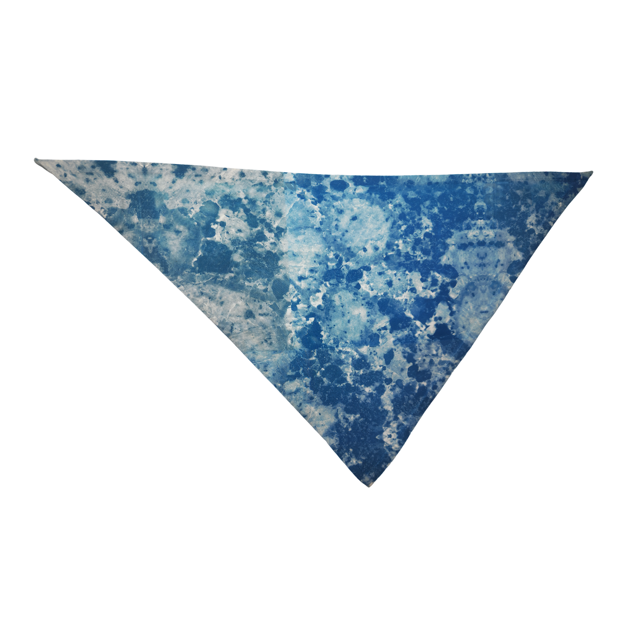 Blue Marble Bandana