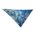 Blue Marble Bandana